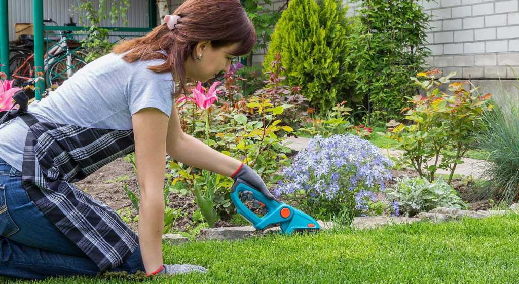 Cordless Electric Grass Shears